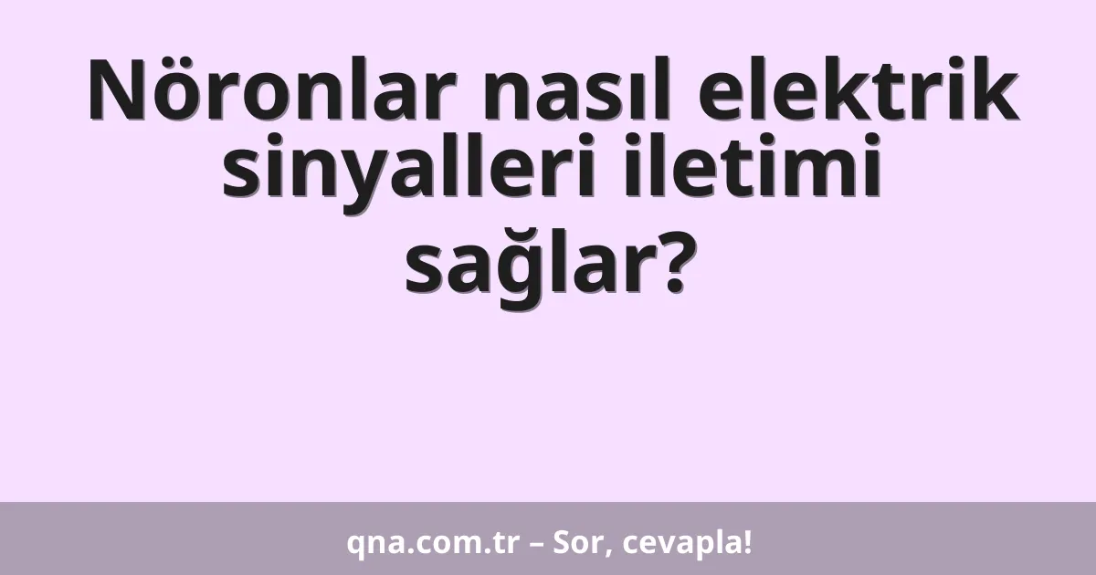 Nöronlar nasıl elektrik sinyalleri iletimi sağlar?