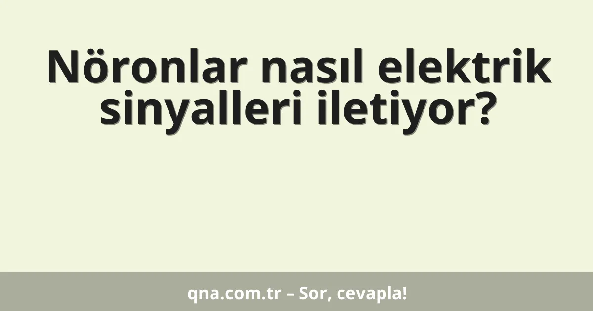 Nöronlar nasıl elektrik sinyalleri iletiyor?