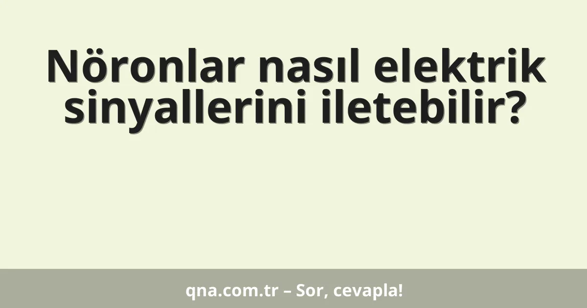 Nöronlar nasıl elektrik sinyallerini iletebilir?