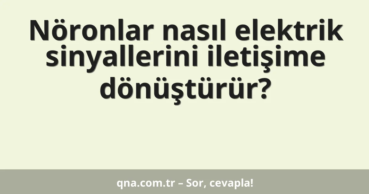 Nöronlar nasıl elektrik sinyallerini iletişime dönüştürür?