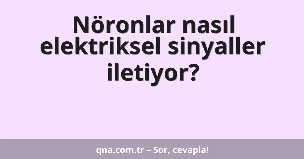 Nöronlar nasıl elektriksel sinyaller iletiyor?