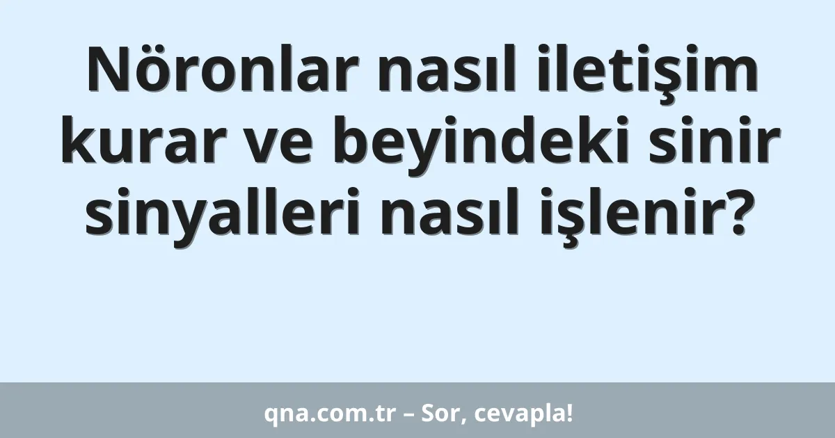 Nöronlar nasıl iletişim kurar ve beyindeki sinir sinyalleri nasıl işlenir?