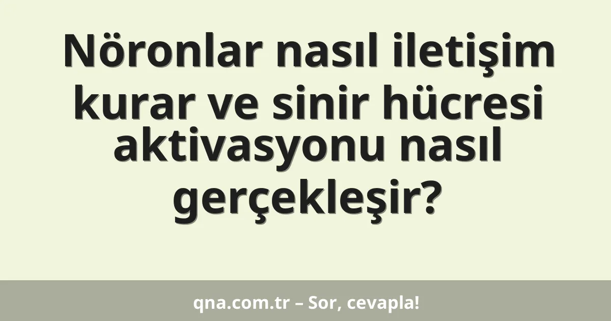 Nöronlar nasıl iletişim kurar ve sinir hücresi aktivasyonu nasıl gerçekleşir?