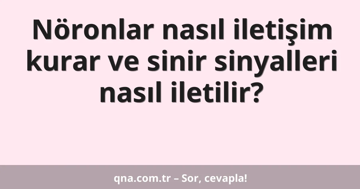 Nöronlar nasıl iletişim kurar ve sinir sinyalleri nasıl iletilir?