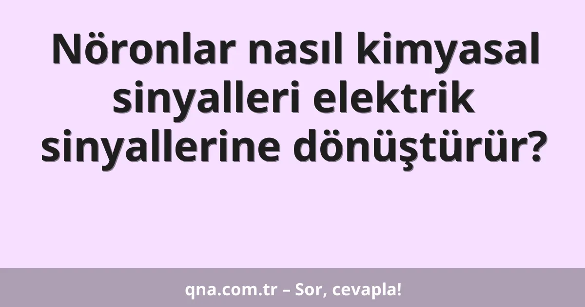 Nöronlar nasıl kimyasal sinyalleri elektrik sinyallerine dönüştürür?