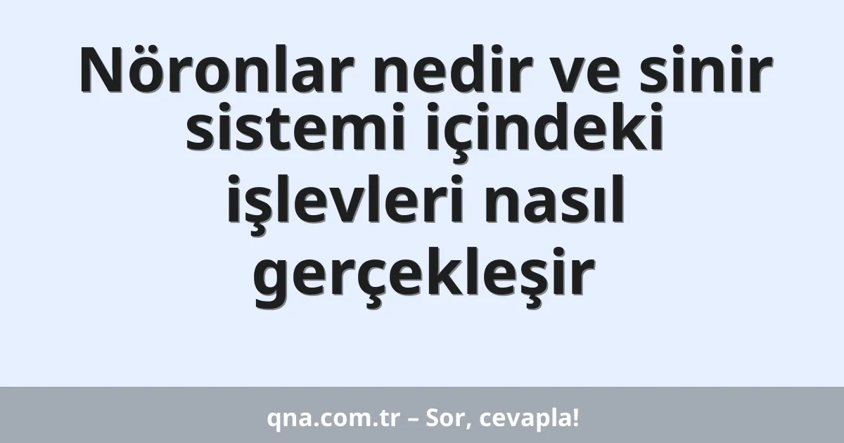 Nöronlar nedir ve sinir sistemi içindeki işlevleri nasıl gerçekleşir
