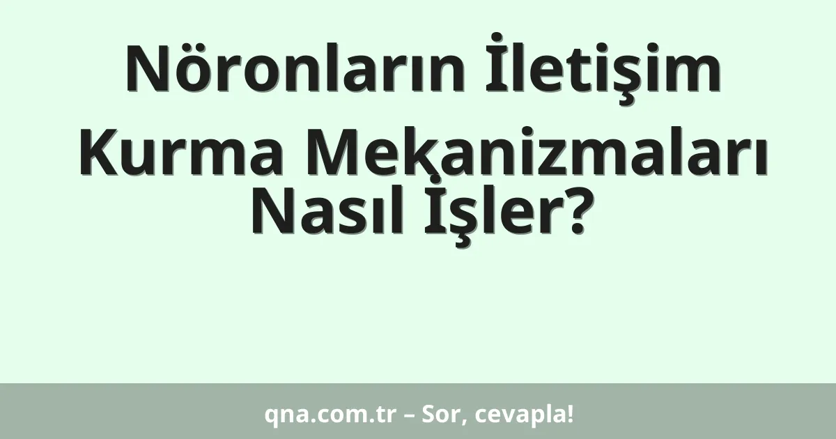 Nöronların İletişim Kurma Mekanizmaları Nasıl İşler?