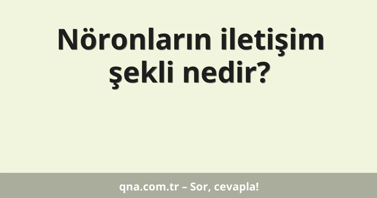 Nöronların iletişim şekli nedir?