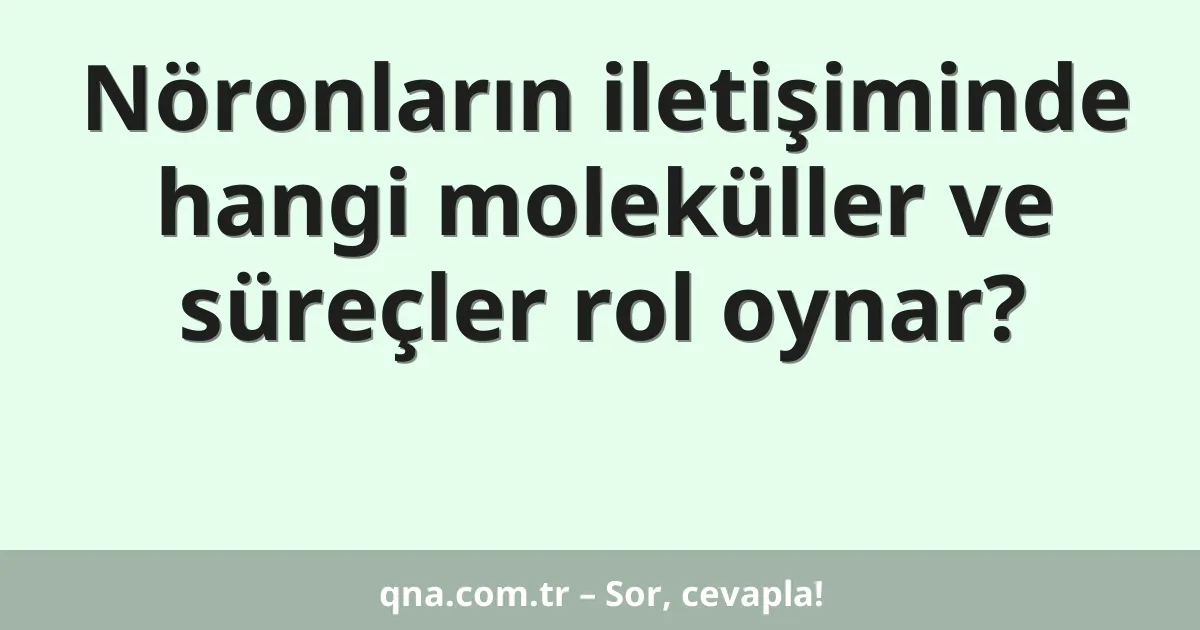 Nöronların iletişiminde hangi moleküller ve süreçler rol oynar?