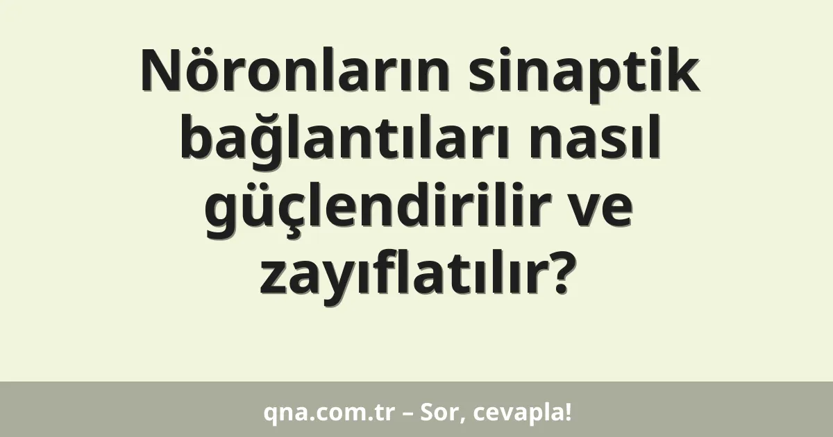 Nöronların sinaptik bağlantıları nasıl güçlendirilir ve zayıflatılır?
