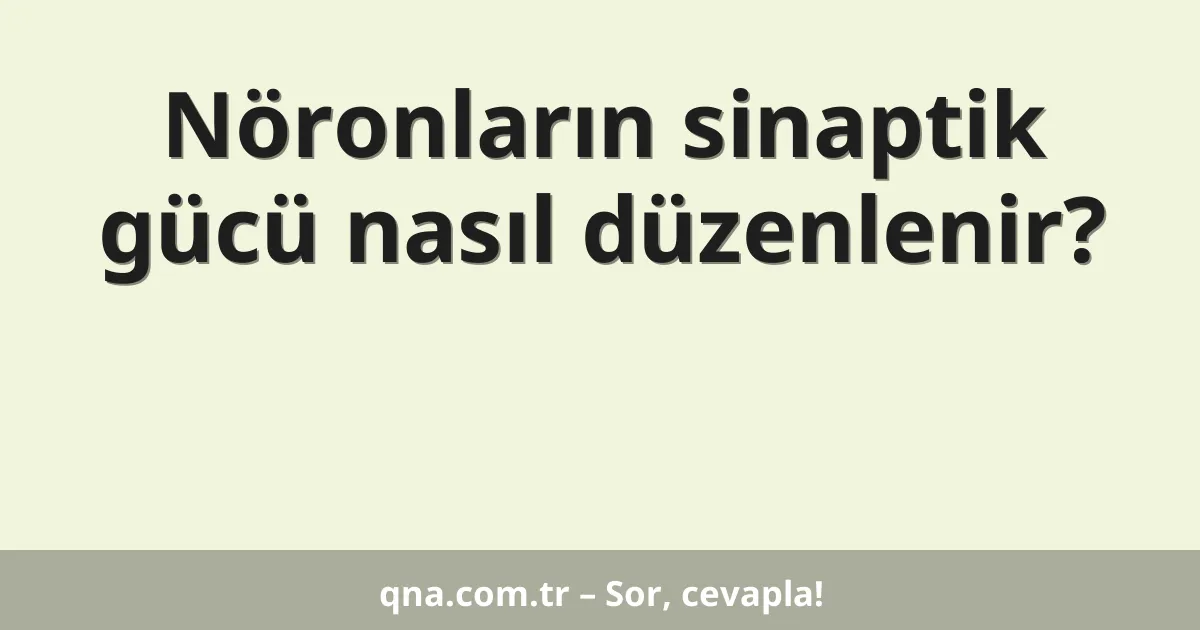 Nöronların sinaptik gücü nasıl düzenlenir?