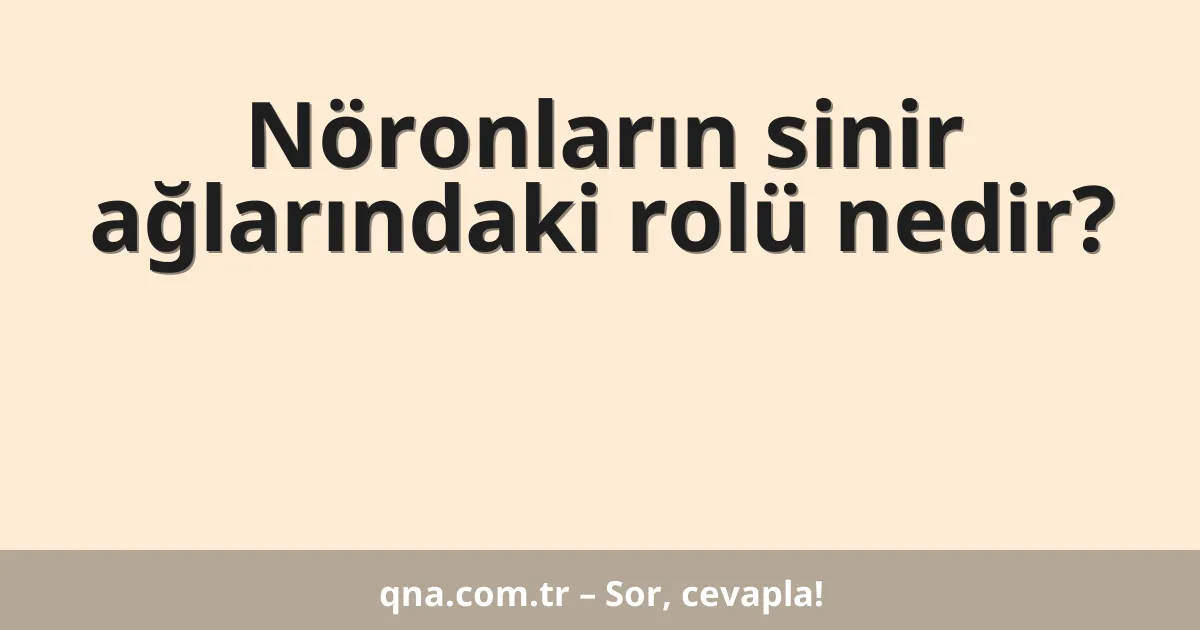 Nöronların sinir ağlarındaki rolü nedir?