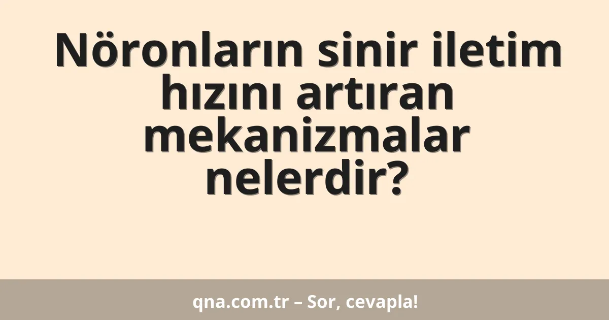 Nöronların sinir iletim hızını artıran mekanizmalar nelerdir?