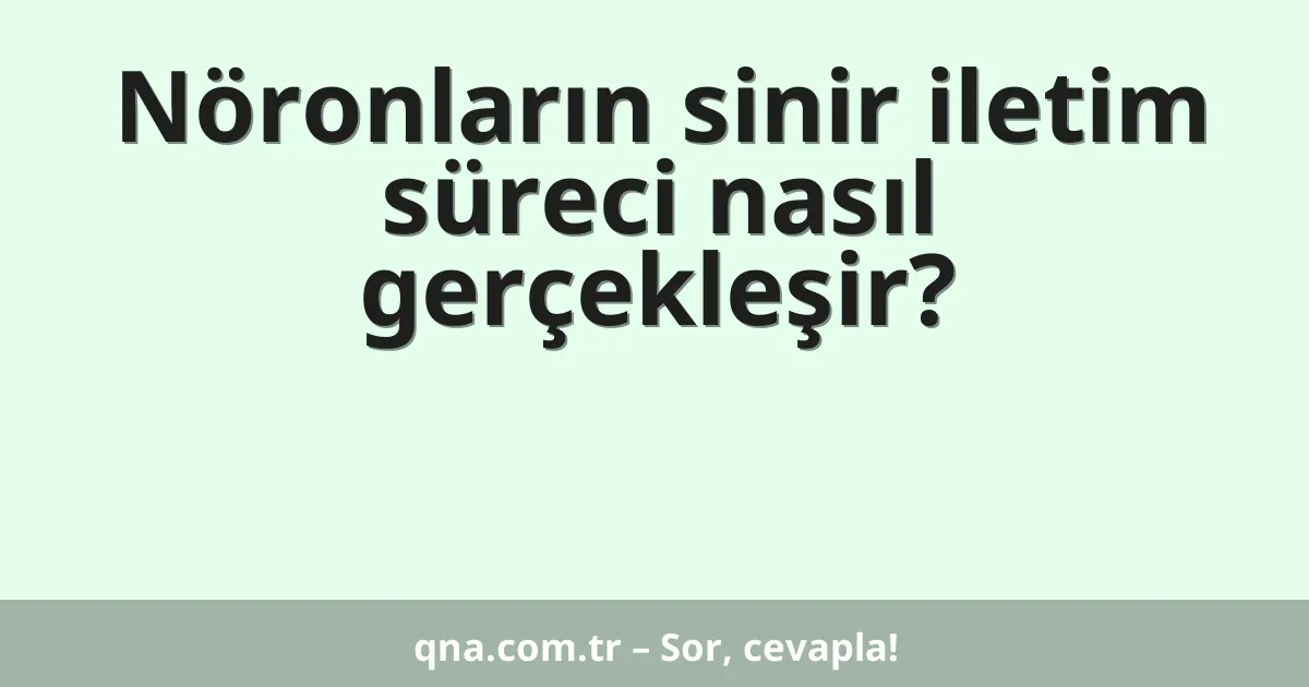 Nöronların sinir iletim süreci nasıl gerçekleşir?