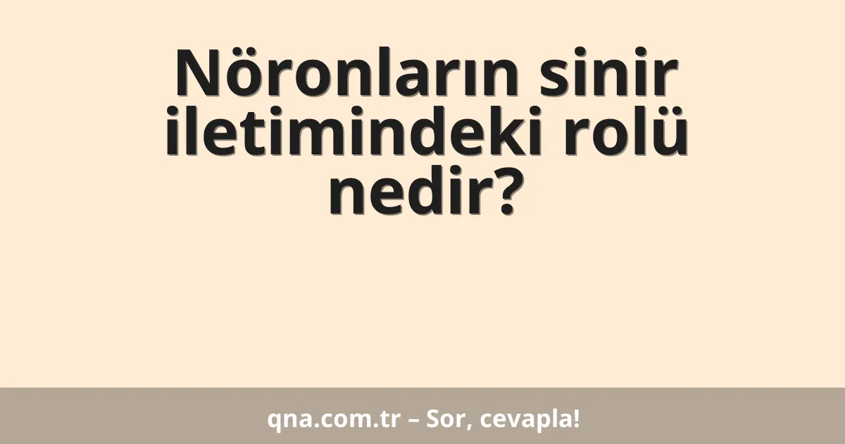 Nöronların sinir iletimindeki rolü nedir?