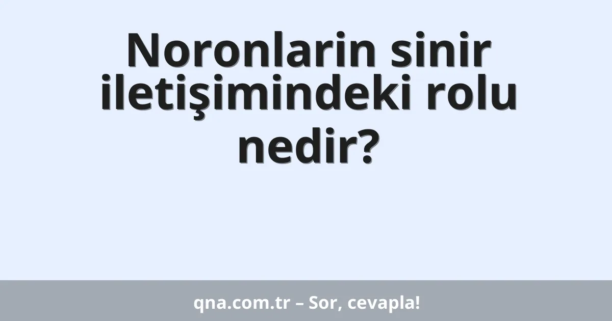 Noronlarin sinir iletişimindeki rolu nedir?