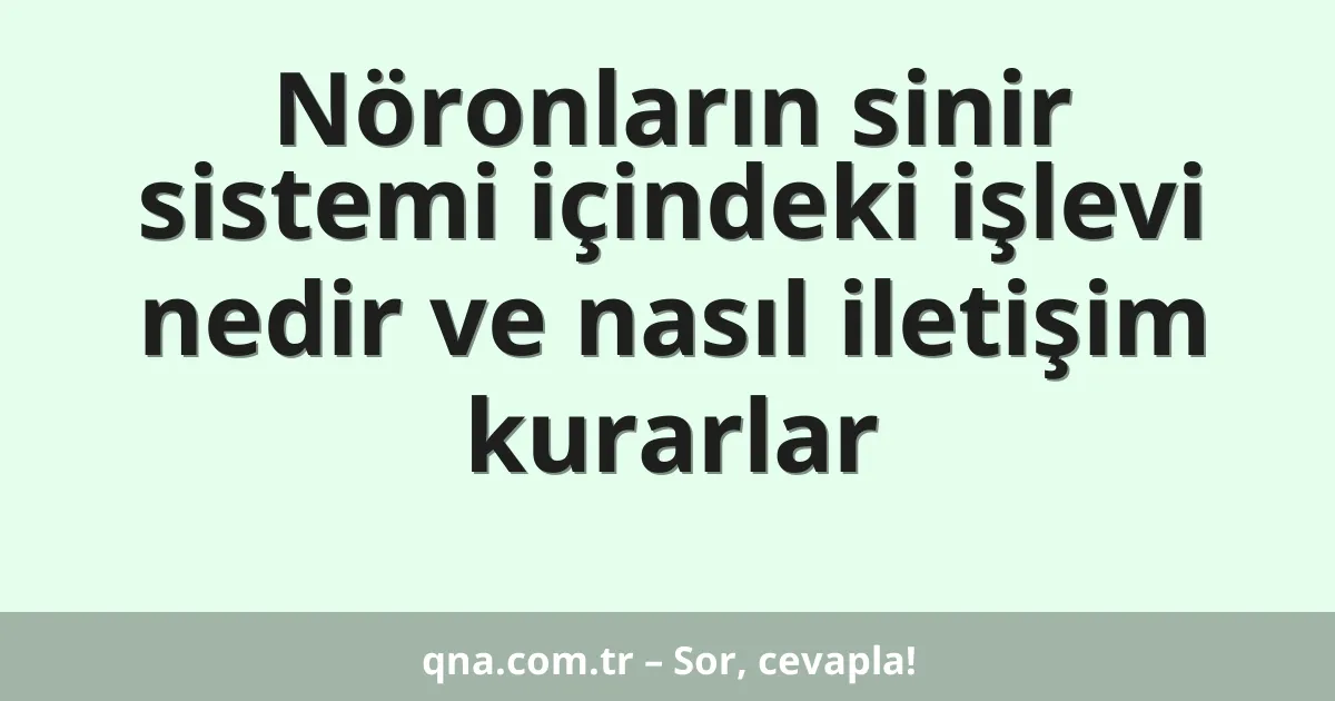Nöronların sinir sistemi içindeki işlevi nedir ve nasıl iletişim kurarlar