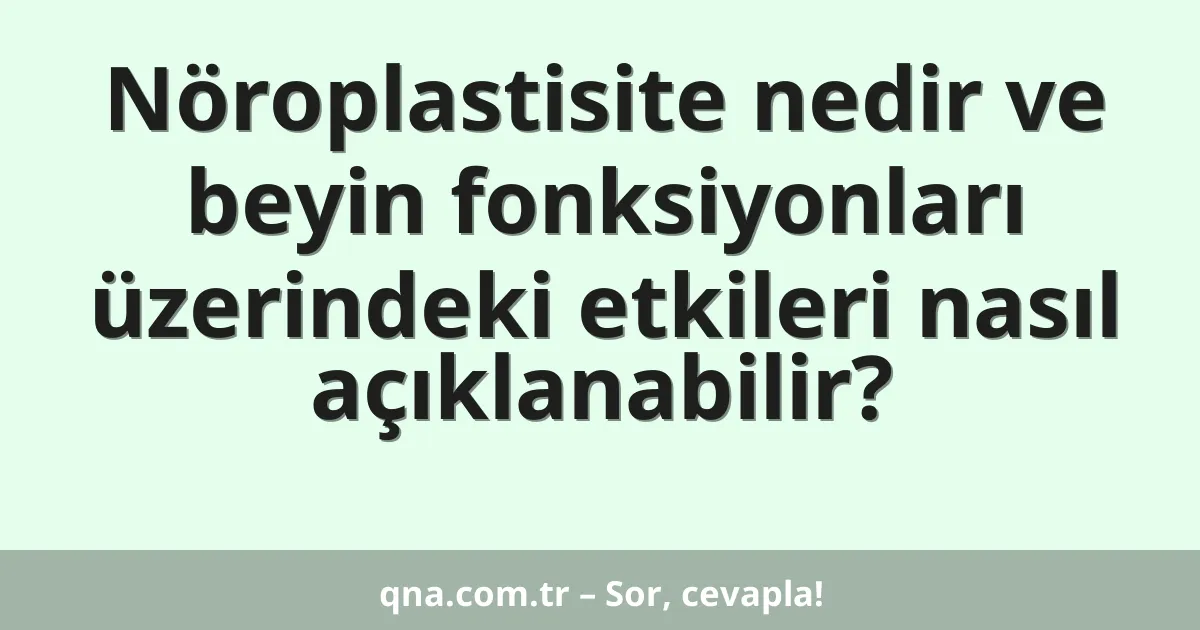 Nöroplastisite nedir ve beyin fonksiyonları üzerindeki etkileri nasıl açıklanabilir?