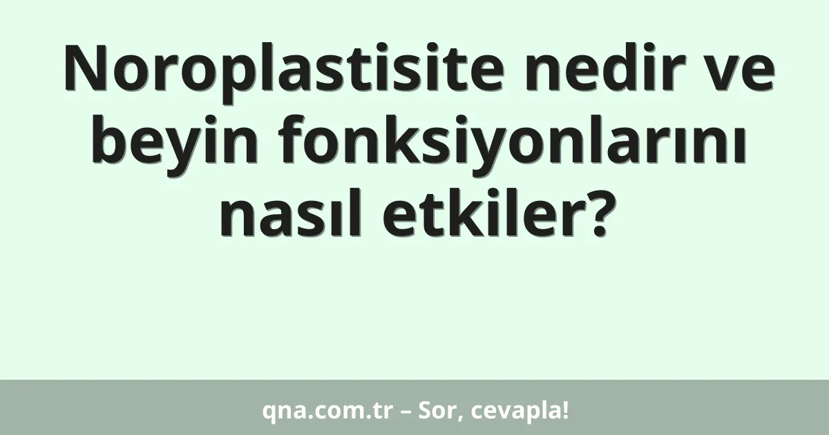 Noroplastisite nedir ve beyin fonksiyonlarını nasıl etkiler?