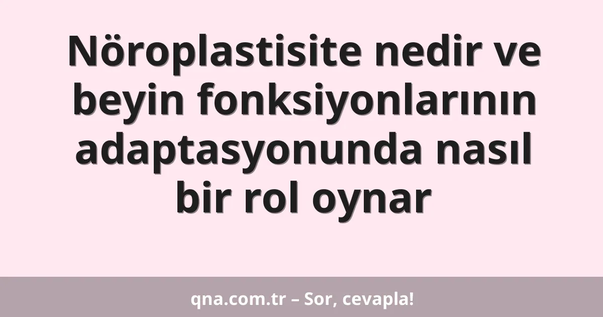 Nöroplastisite nedir ve beyin fonksiyonlarının adaptasyonunda nasıl bir rol oynar