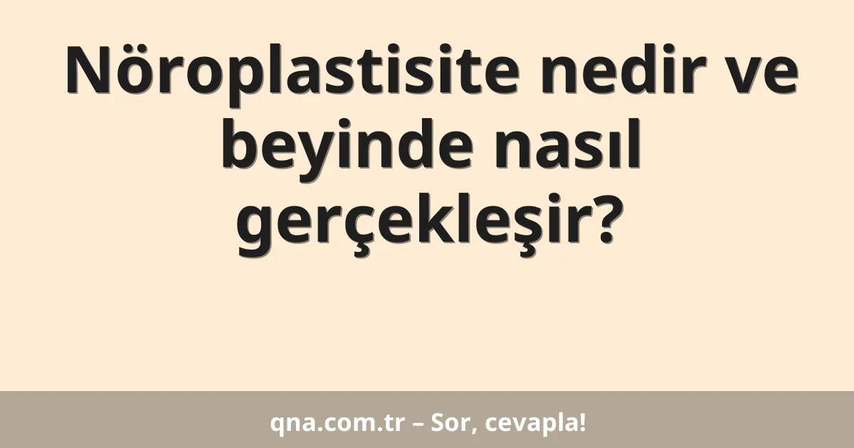 Nöroplastisite nedir ve beyinde nasıl gerçekleşir?