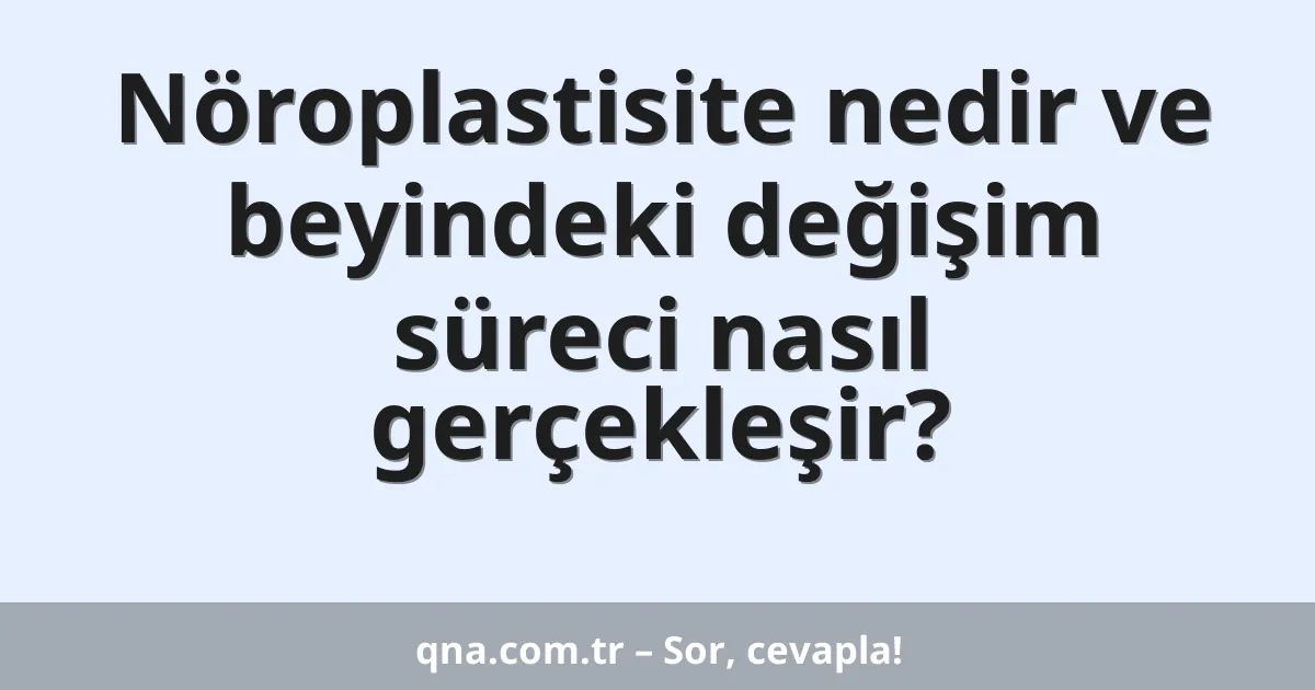 Nöroplastisite nedir ve beyindeki değişim süreci nasıl gerçekleşir?