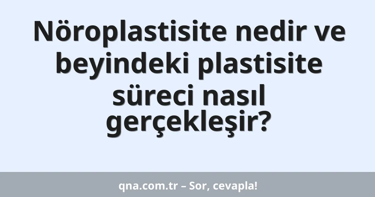 Nöroplastisite nedir ve beyindeki plastisite süreci nasıl gerçekleşir?