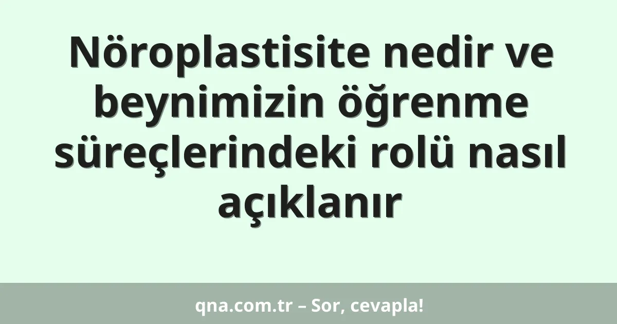 Nöroplastisite nedir ve beynimizin öğrenme süreçlerindeki rolü nasıl açıklanır