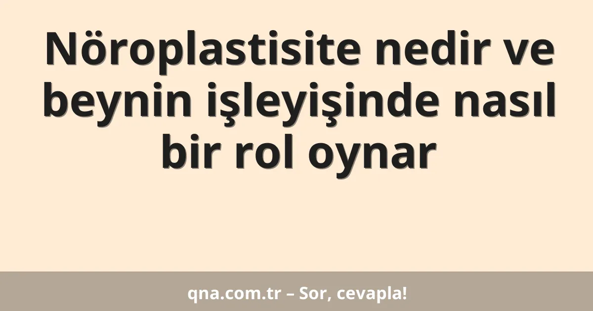 Nöroplastisite nedir ve beynin işleyişinde nasıl bir rol oynar