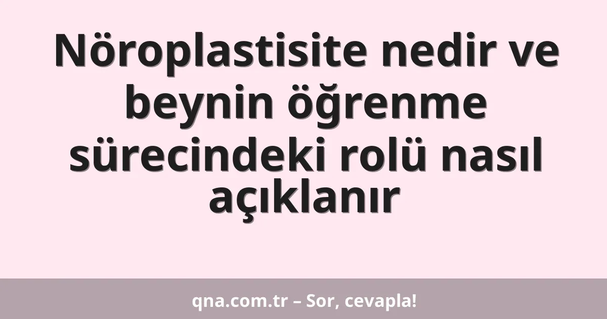 Nöroplastisite nedir ve beynin öğrenme sürecindeki rolü nasıl açıklanır