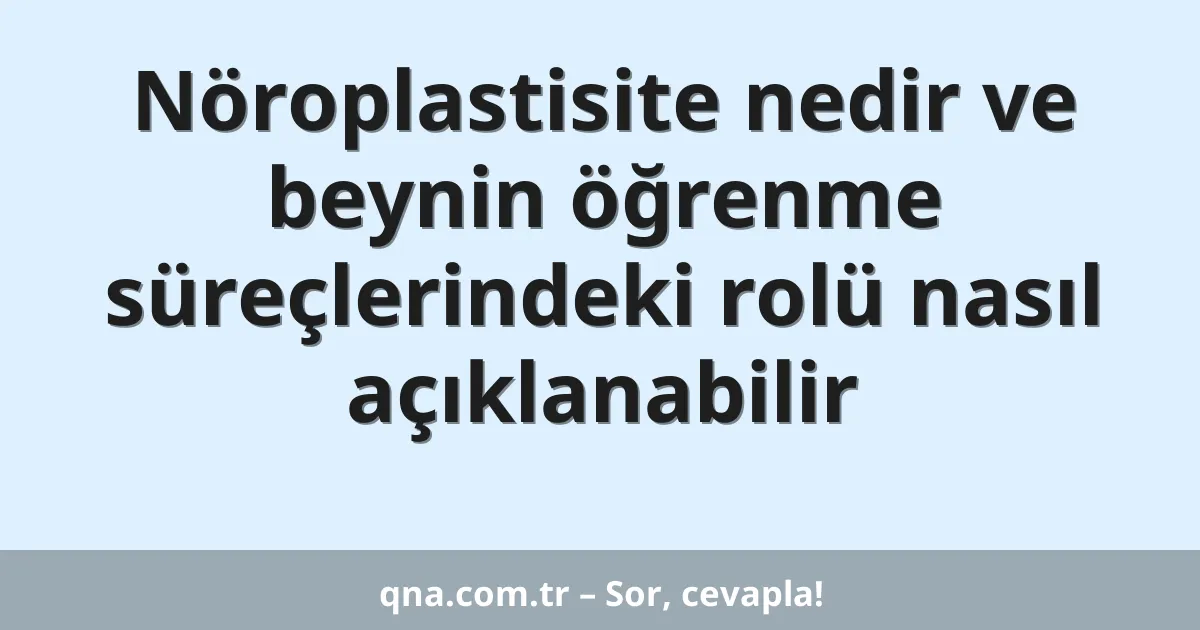 Nöroplastisite nedir ve beynin öğrenme süreçlerindeki rolü nasıl açıklanabilir
