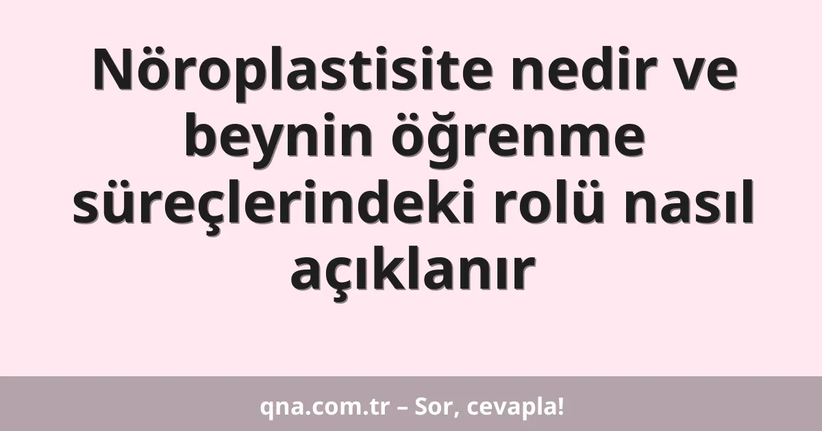 Nöroplastisite nedir ve beynin öğrenme süreçlerindeki rolü nasıl açıklanır