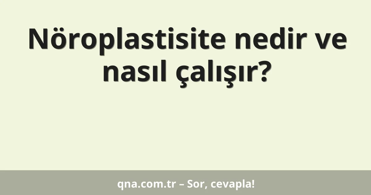 Nöroplastisite nedir ve nasıl çalışır?