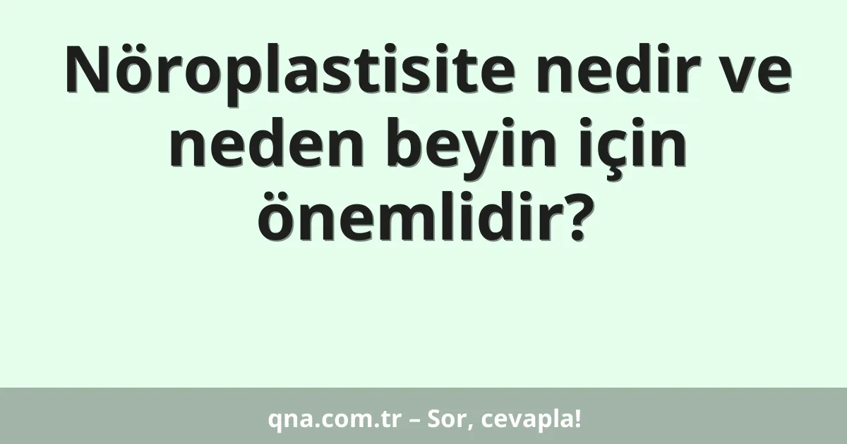 Nöroplastisite nedir ve neden beyin için önemlidir?
