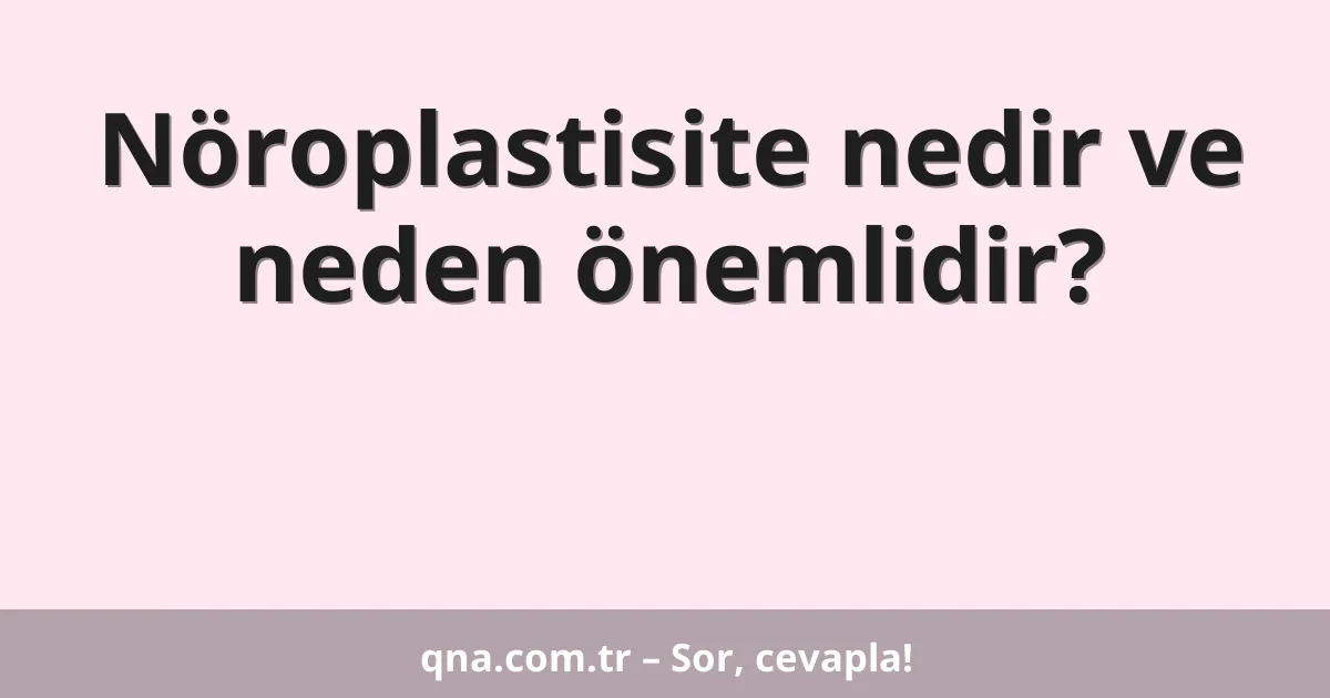Nöroplastisite nedir ve neden önemlidir?