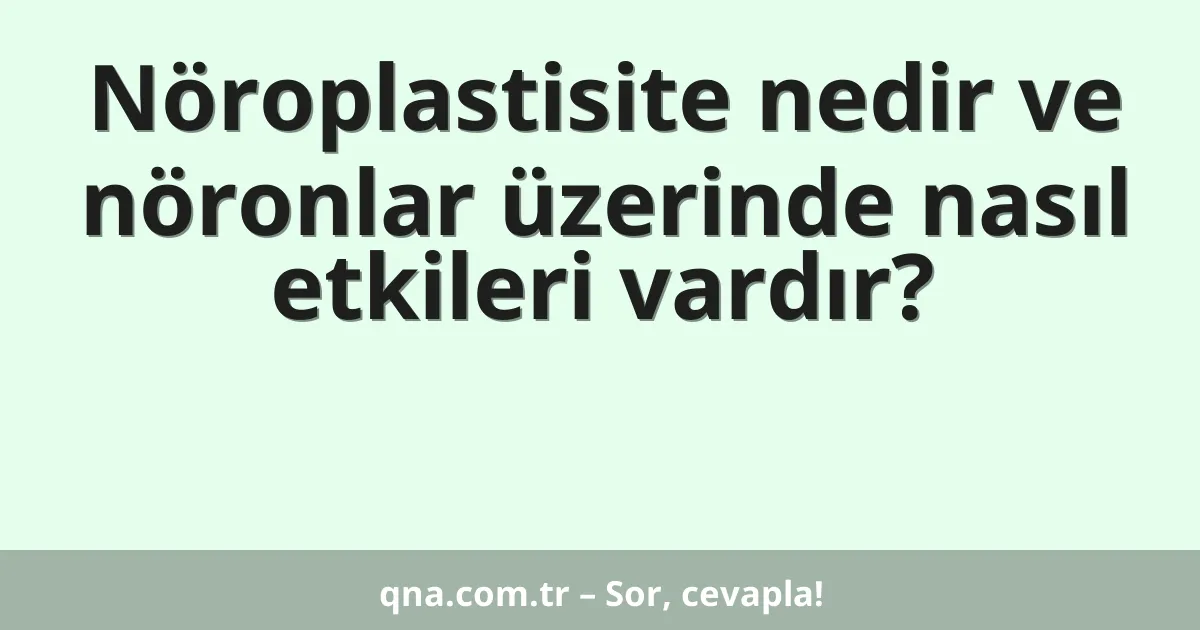 Nöroplastisite nedir ve nöronlar üzerinde nasıl etkileri vardır?