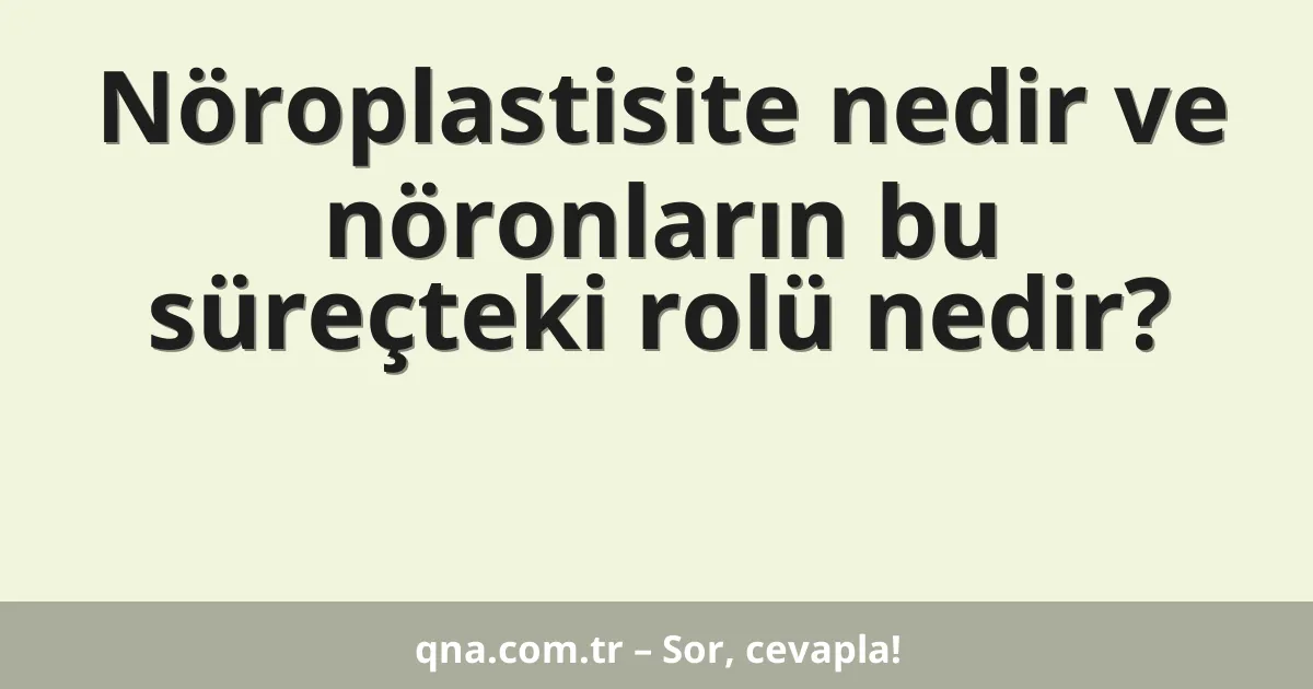 Nöroplastisite nedir ve nöronların bu süreçteki rolü nedir?