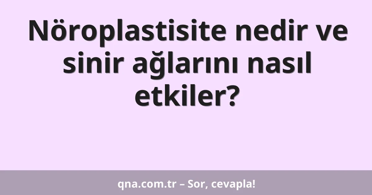 Nöroplastisite nedir ve sinir ağlarını nasıl etkiler?