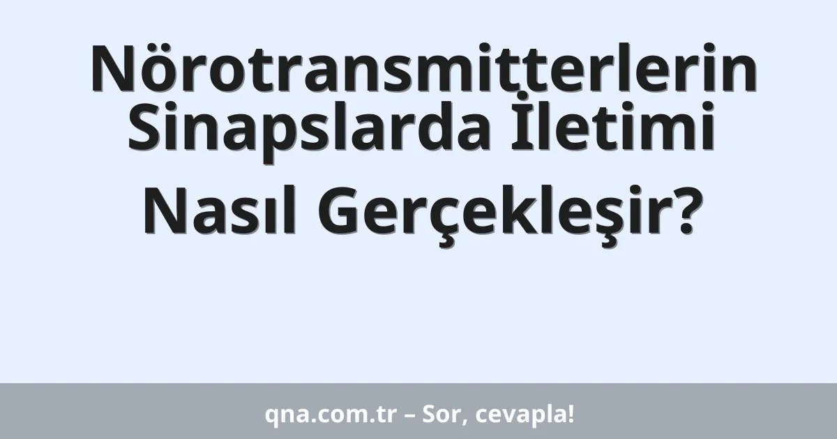 Nörotransmitterlerin Sinapslarda İletimi Nasıl Gerçekleşir?