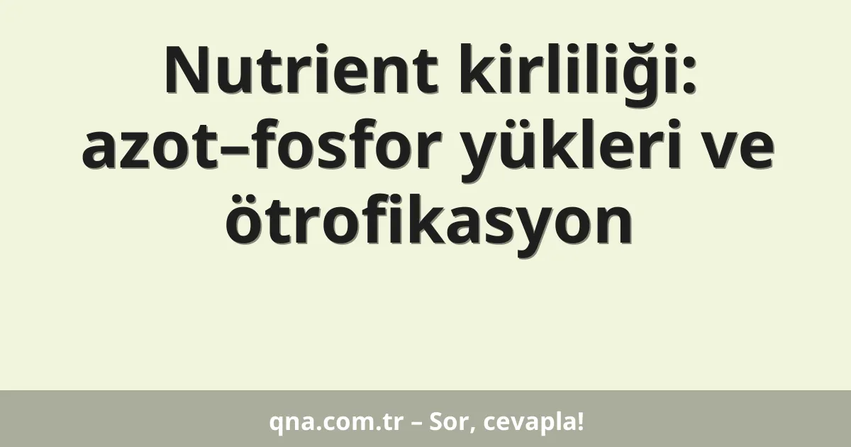 Nutrient kirliliği: azot–fosfor yükleri ve ötrofikasyon