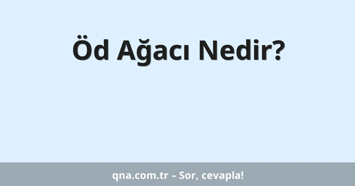 Öd Ağacı Nedir?