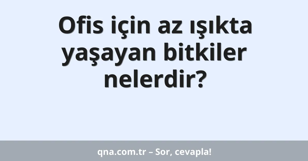 Ofis için az ışıkta yaşayan bitkiler nelerdir?
