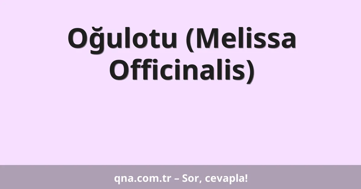 Oğulotu (Melissa Officinalis)