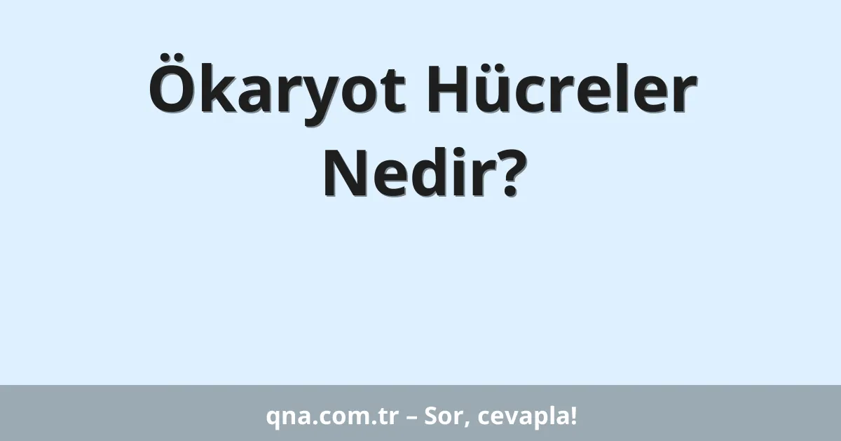 Ökaryot Hücreler Nedir?