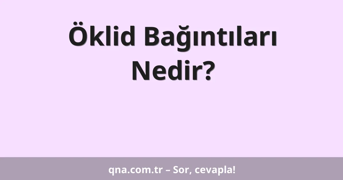 Öklid Bağıntıları Nedir?