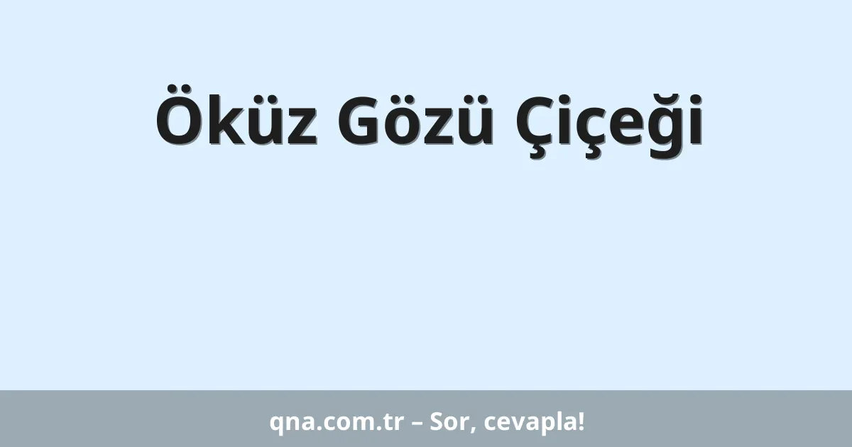 Öküz Gözü Çiçeği