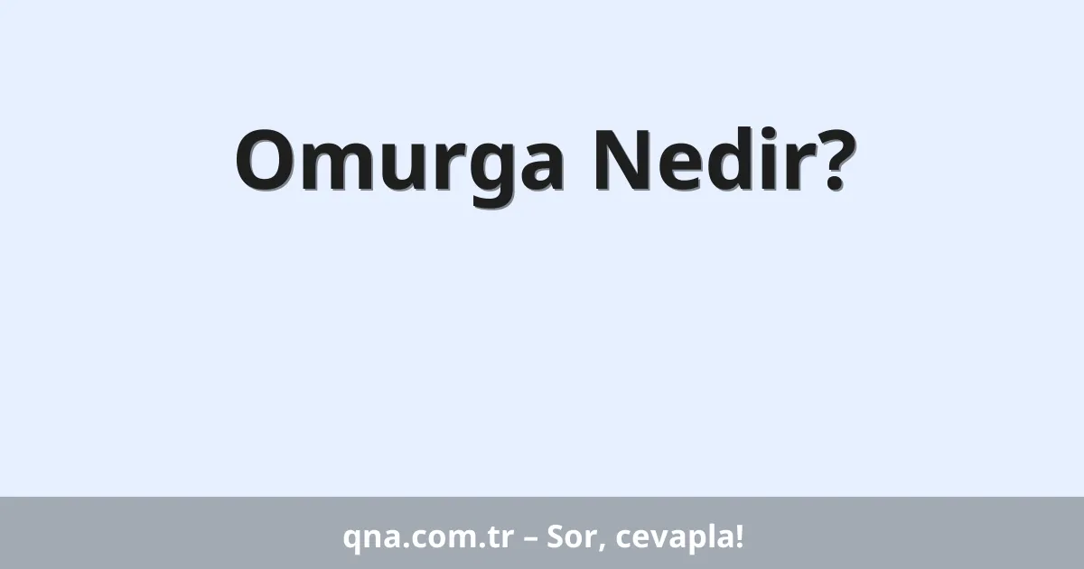 Omurga Nedir?