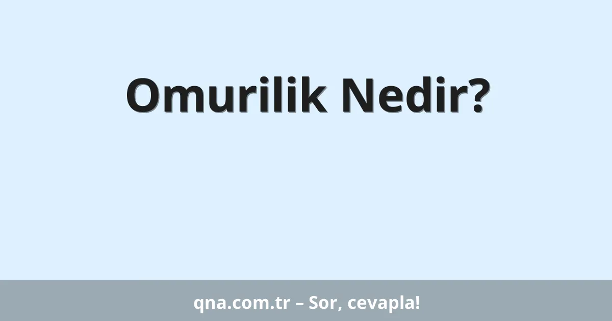 Omurilik Nedir?