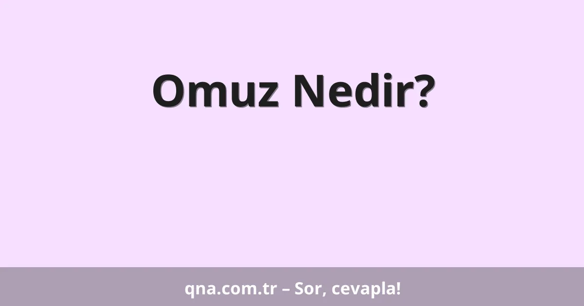 Omuz Nedir?