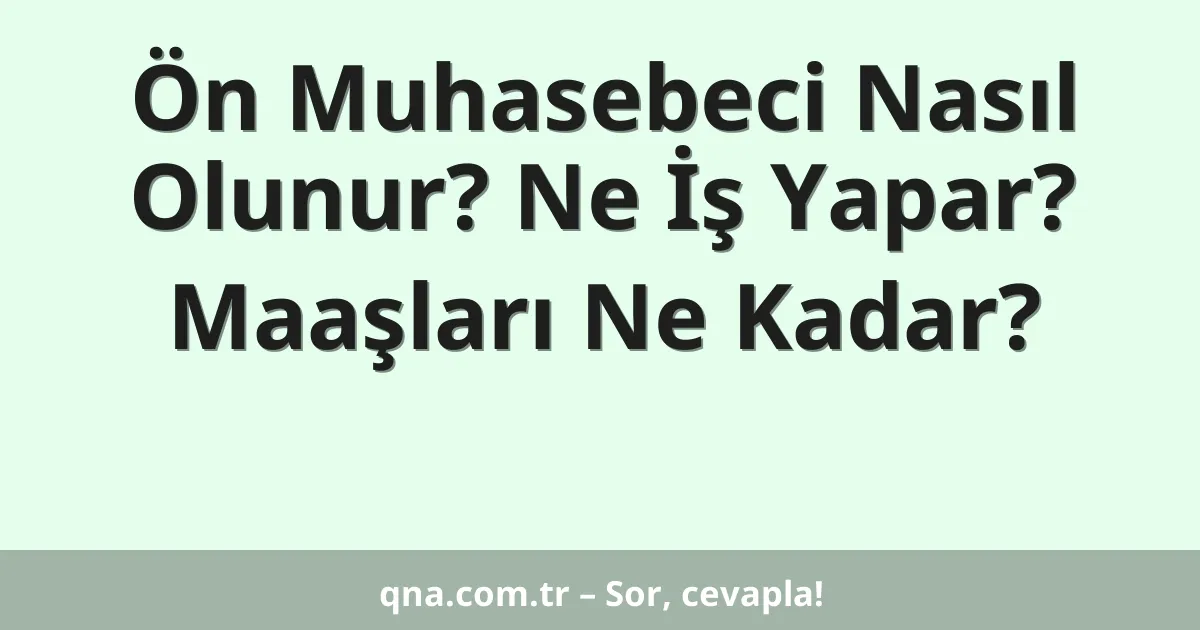 Ön Muhasebeci Nasıl Olunur? Ne İş Yapar? Maaşları Ne Kadar?